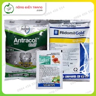 Combo Phòng và Trị Bệnh cho Mai Vàng: Antracol 70WP (Gói 100g) Radiant 60SC (Gói 15ml) Ridomil Gold