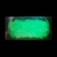 ❤ด่วน❤ (เขียว200g) หินเรืองแสงในที่มืด glow in the dark stone 200g สีฟ้าและสีเขียว     JR3.6537🔥ด่วน
