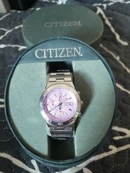 Citizen An4000-51Z 手錶