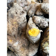 Bonglai(Zingiber cassumunar)herba tradisional 500 gram