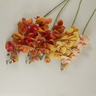 Bunga Anggrek Bulan Latex X7 Bunga Anggrek Hias Palsu Orchid Cymbidium Flower Import Dekorasi Rumah 