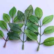 (10 branches/30 branches) super durable dandelion leaves, 1 branch of 7 high-quality leaves, cuckoo 