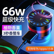 Car Charger Aromatherapy Car Charger Super Fast Charging Car Charger66W4.6