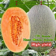 70pcs Hami Melon Seeds High Yield Sweet Cantaloupe Seeds for Planting Bonsai Fruits Seeds for Planti