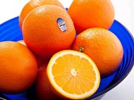 Bibit Jeruk Sunkist Manis