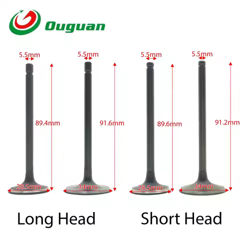 ouguan for Honda Haojue Lifan ZONGSHEN Loncin Dayang CG250 DY250 HJ250 CG DY HJ 250cc Valve Intake E