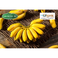 2KG【Organic Certified】Krubong22 Farmer's Pick Banana/Pisang Berangan & Rastali - Straight from Farm