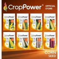 Benih Jagung Corn Seed 玉米种子 CROP POWER SC 9001 SS 232 SS 932 SS 632 SCP 1311 WX 100 WX 200 WX 300 SC