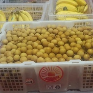 BUAH LENGKENG 1 KERANJANG