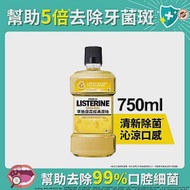 李施德霖經典原味除菌漱口水750ml