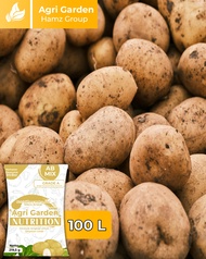 agri - ab mix nutrisi untuk tanaman umbi