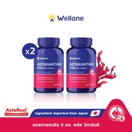 [แพ็ค 2 ขวด] WELLANE Set Astaxanthin 6 mg Plus Vitamin E x2 l AstaReal® From Japan แอสตาแซนธินจากญี่ปุ่น ผสมวิตามินอี