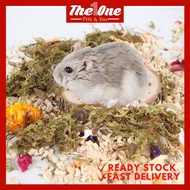 Bucatstate Dried Moss Hamster Bedding Small Animal Bedding Natural Decoration