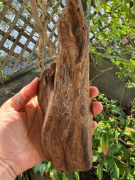 加里曼丹 野生沉香老料 284公克 沉水級 沉香擺件 星洲系 #沉香