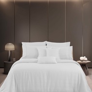 [NEW ARRIVAL] AKEMI 1200TC TENCEL™ Lyocell Earnest Nova  (Bedsheet | Quilt Cover Set)