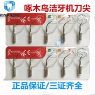 Dental Woodpecker Original Dental Scaler Cutter Head Dental Scaler Work Tip Accessories G1 G2 G3 G4P