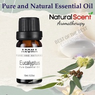 Natural Scent AROMA Eucalyptus Pure Essential Oil Aromatherapy Oil for Skin Care, Hair Care, Bath, Ideal for Humidifier, Diffuser, Relax