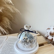 心形永生花玻璃罩盅