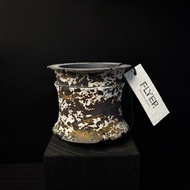 FLYER 塊根多肉植物陶盆器 龍舌蘭象牙宮象足漆樹盆器