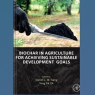 Biochar in Agriculture for Achieving Sustainable Development