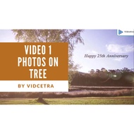 Photo to Video Service - Video 1 - Photos on Tree