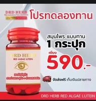 AUTOPHILE PLUS BY แอน ทองประสม ออโตฟีล พลัส ผลิตภัณฑ์​เสริม​อาหาร​ บำรุงกระดูกแคลเซี่ยม 1 กระปุก 30 