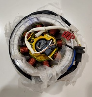 Spull + Magnet ORI TVS APACHE RTR 160 / pulser apache - N9060400 - Magneto Assy RTR