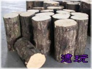 逮玩《兩棲、爬蟲類用品 甲蟲》 【鍬形蟲 專用 產卵木M】 直徑9~11cm