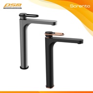 Sorento Solid Brass Material Bathroom High Basin Water Tap SRTWT8303-GMB / SRTWT8303-RG
