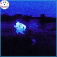 Original Daniel Caesar Never Enough CD Album [Sealed] Brand New