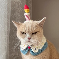Korean Designer Brand 生日蛋糕宠物围脖 猫狗针织