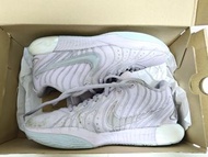 Nike LeBron 21 紫色