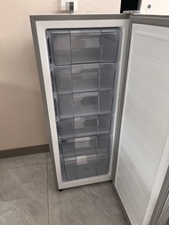 立式冰櫃Freezer 小型家用 一級能源 全冷凍冰櫃 包送貨 售後有保養#冰櫃