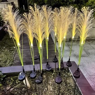 Solar LED fiber optic reed setae field lights outdoor simulation park landscape lighting lawn lights Pamireed