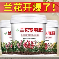 Nongfu Song Orchid Special Fertilizer Strong Seedling Promotion Flowering Leaf Gloss Potted Flower Organic Particle Slow