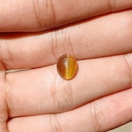 Natural APATITE "Cat's Eye" Natural Gem Ring Stone 3.05 Ct.