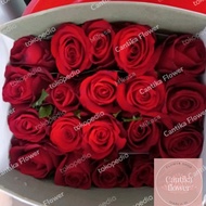 bunga mawar merah asli/ rose merah mawar asli