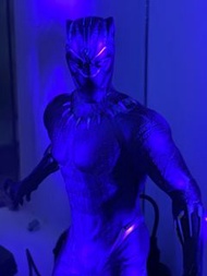 Hottoys MMS450 black panther 2.0