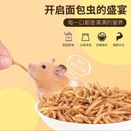 MHF16 Hamster Dried Mealworms 仓鼠金丝熊面包虫仓鼠零食仓鼠金丝熊零食增肥美毛辅食组合