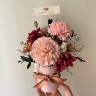 母親節花禮.康乃馨盆花.花禮.康乃馨.母親節禮物.母親節