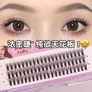BQI Sunflower Thick False Eyelashes, Natural Segmented Grafted Lashes
