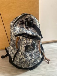 Gregory 迷彩背包