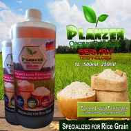 PLANZEN - FOLIAR LIQUID FERTILIZER FOR RICE GRAIN