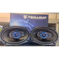 PEGASUS 6x9 3 WAY SPEAKER PG-9631
