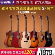 YAMAHA YAMAHA Guitar FG800 Veneer Folk Wooden Electric Case Beginner Boys Girls 137cm Universal Guit