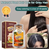 【Read Stock】Natural Plant Bubble Hair Dye covers gray hair Foam Hair Dye Shampoo