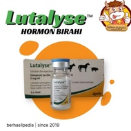 TERLARIS !!! LUTALYSE PGF2ALFA | HORMON BIRAHI HEWAN TERNAK | Gertak birahi | Obat birahi ternak