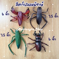 (Large Size 6-7 Inches) Crickets Beetles Fake Insects Animals Children's Toys [4]