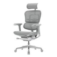 AM Office Ergohuman Elite 2 Ergonomic Chair Mesh Chair