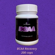 BCAA 200 kapsul AV Nutrition